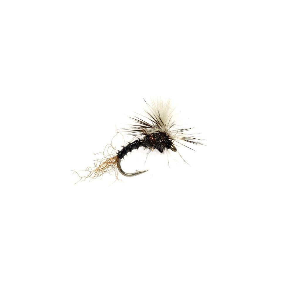 Birchell's Hatch Midge - Black - Flies - Fly Fish Food