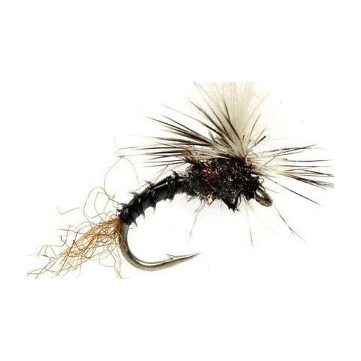 Birchell's Hatch Midge - Black - Flies - Fly Fish Food