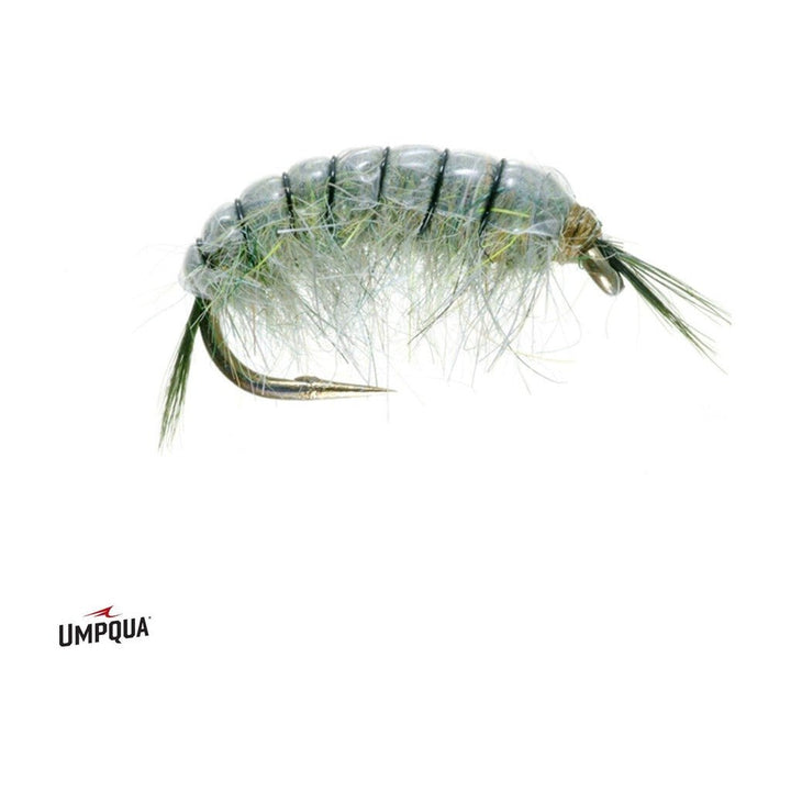 Kaufmann's Scud Gray Olive - Flies - Fly Fish Food