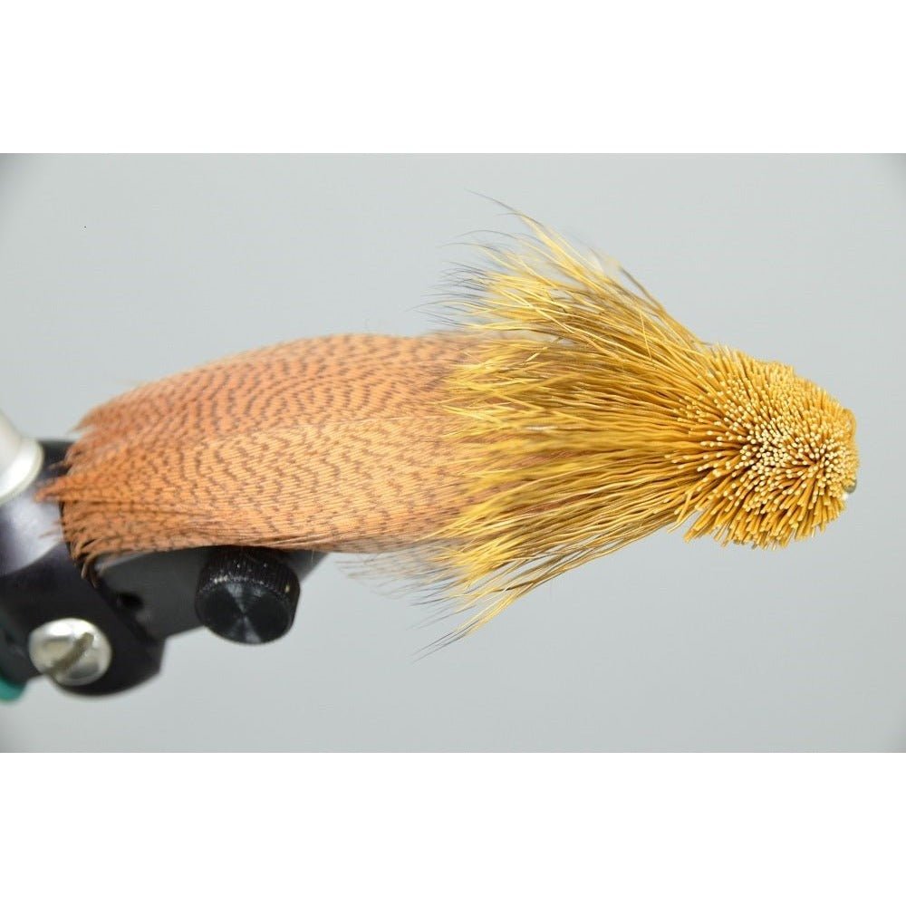 Galloup's Zoo Cougar Golden Brown / 4