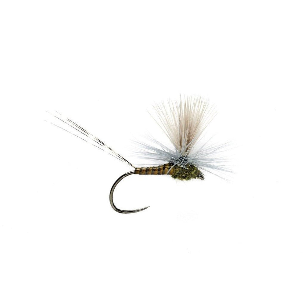 LEXI'S GET 'ER DUN MAY BWO BARBLESS - Flies - Fly Fish Food
