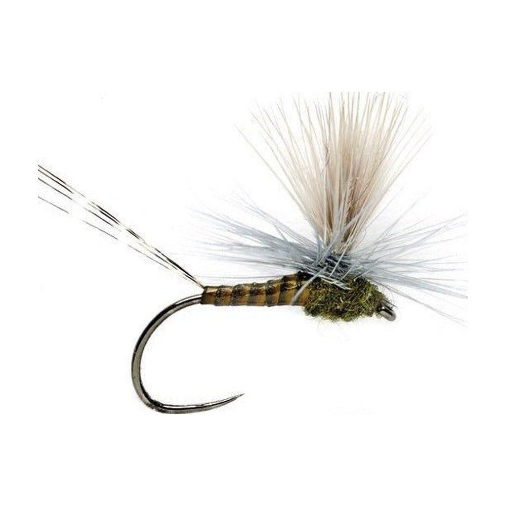 LEXI'S GET 'ER DUN MAY BWO BARBLESS - Flies - Fly Fish Food