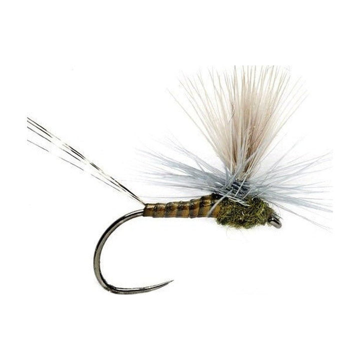 LEXI'S GET 'ER DUN MAY BWO BARBLESS - Flies - Fly Fish Food