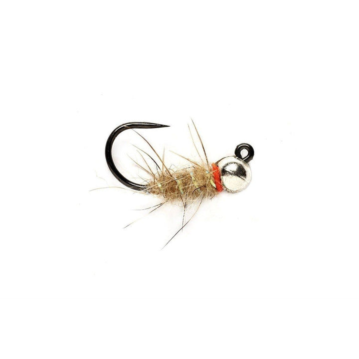 Sob - Czech Ginger - Flies - Fly Fish Food