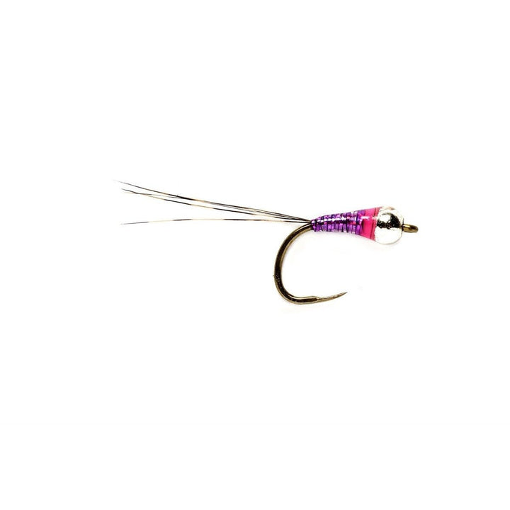 Perdigon Nymph - Purple - Flies - Fly Fish Food