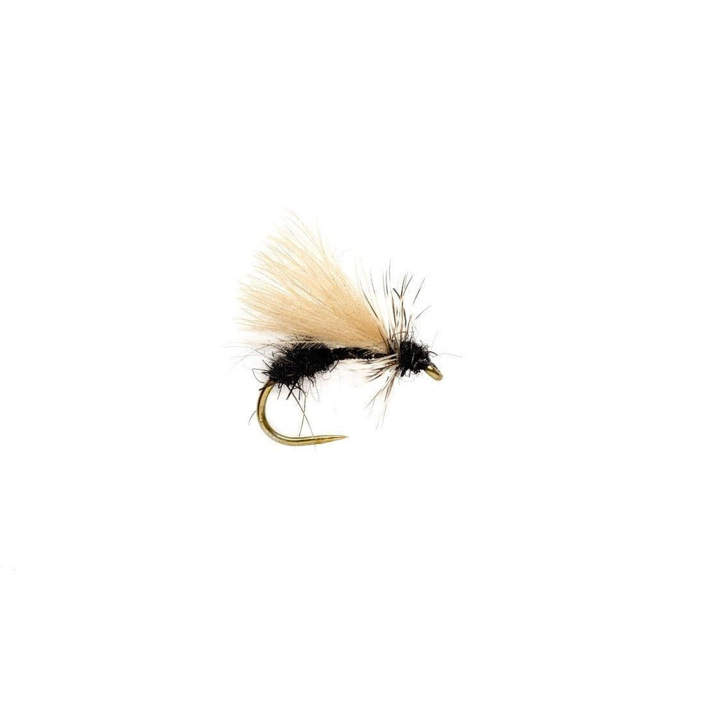 Drop Arse Ant B/L - Flies - Fly Fish Food