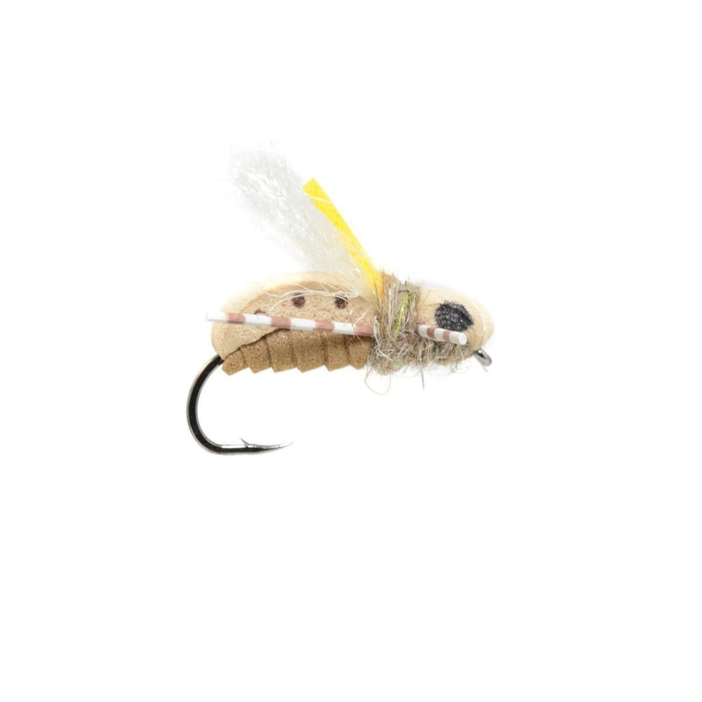 Unsinkabeetle Tan - Flies - Fly Fish Food