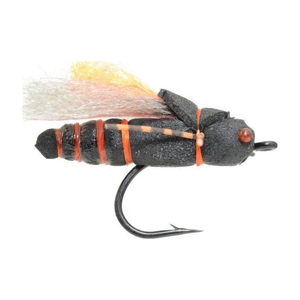 Project Cicada 4