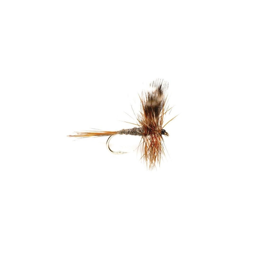 Adams - Flies - Fly Fish Food
