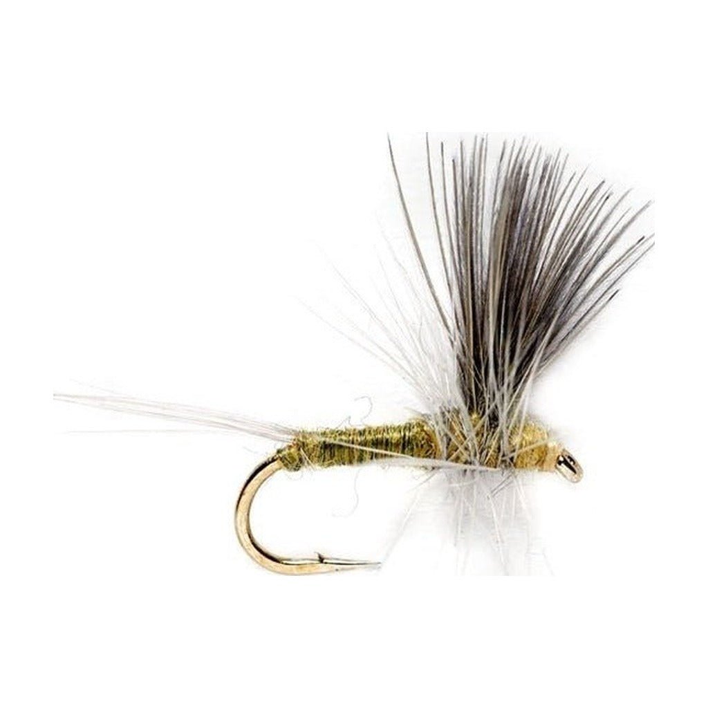 Blue Winged Olive Thorax - Flies - Fly Fish Food