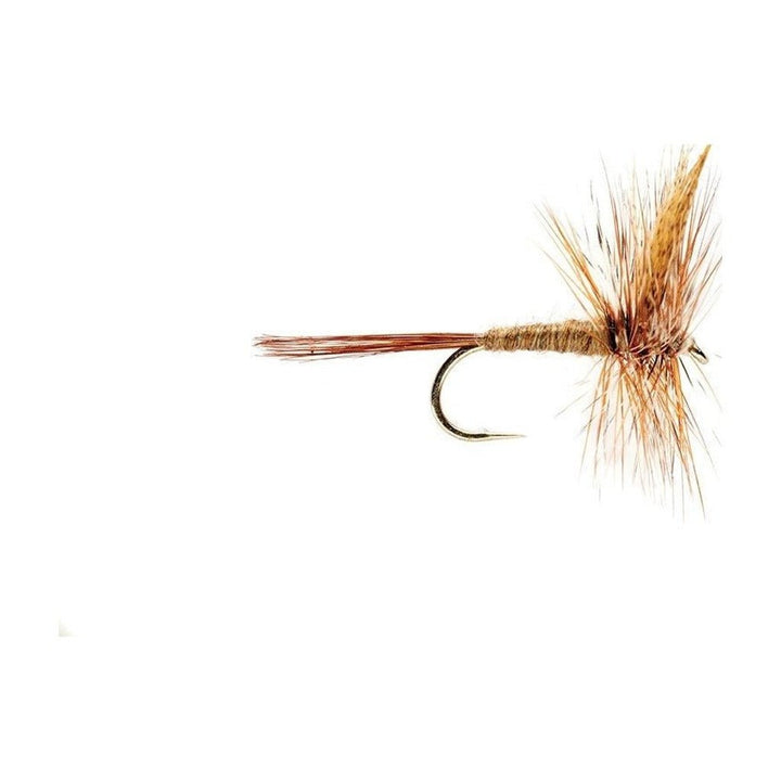 March Brown - Flies - Fly Fish Food