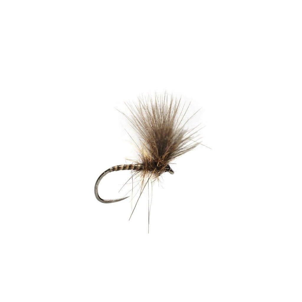 ROZA'S QUILL V - WING - Flies - Fly Fish Food