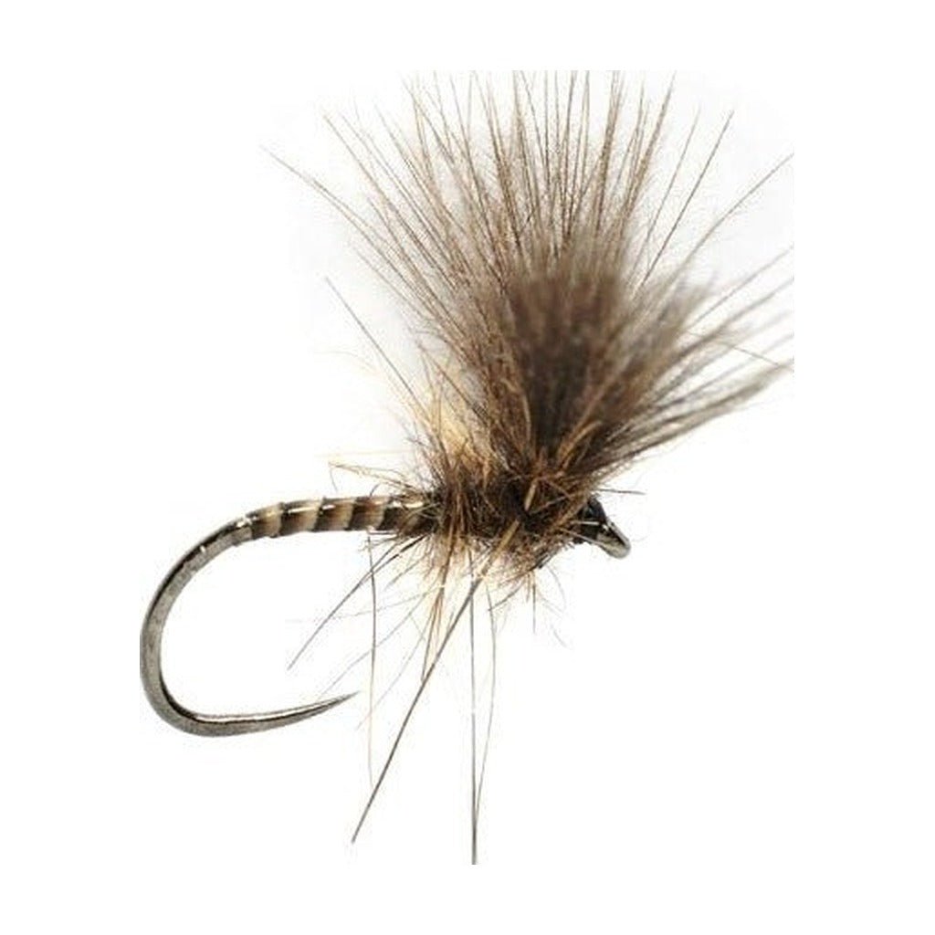 ROZA'S QUILL V - WING - Flies - Fly Fish Food