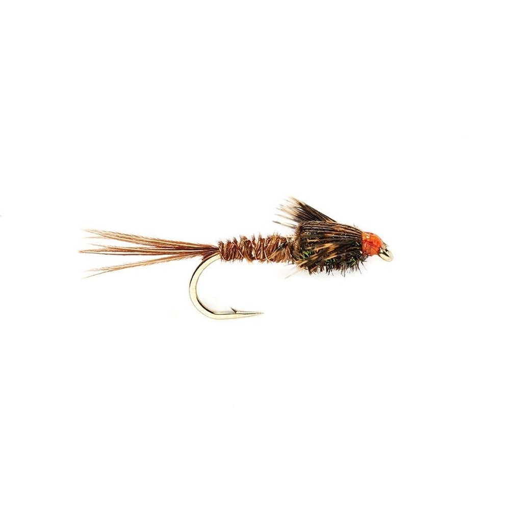 American Pheasant Tail - Flies - Fly Fish Food
