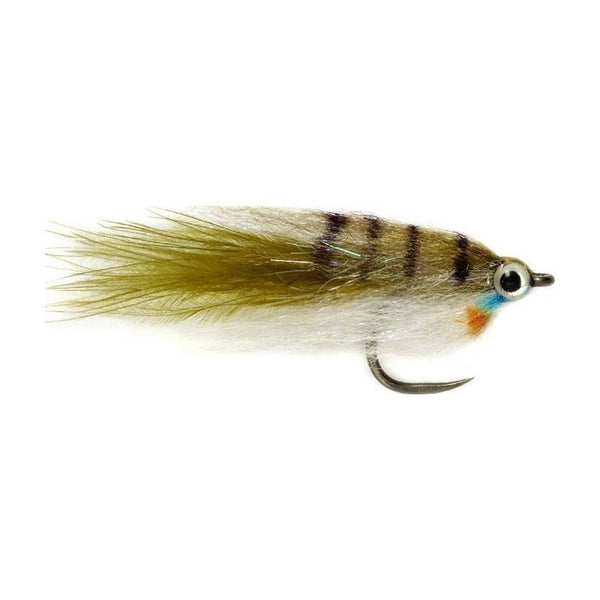 Baby Fat Minnow Bluegill