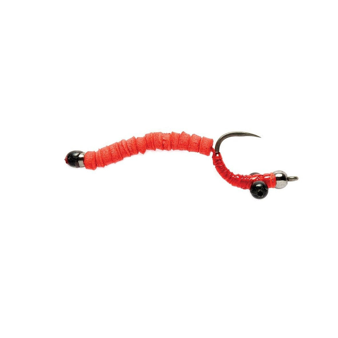 Carp Worm 8