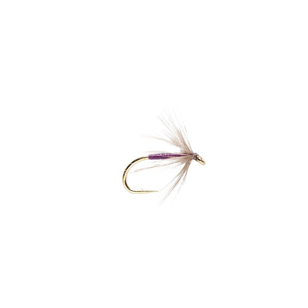 Snipe & Purple - Flies - Fly Fish Food