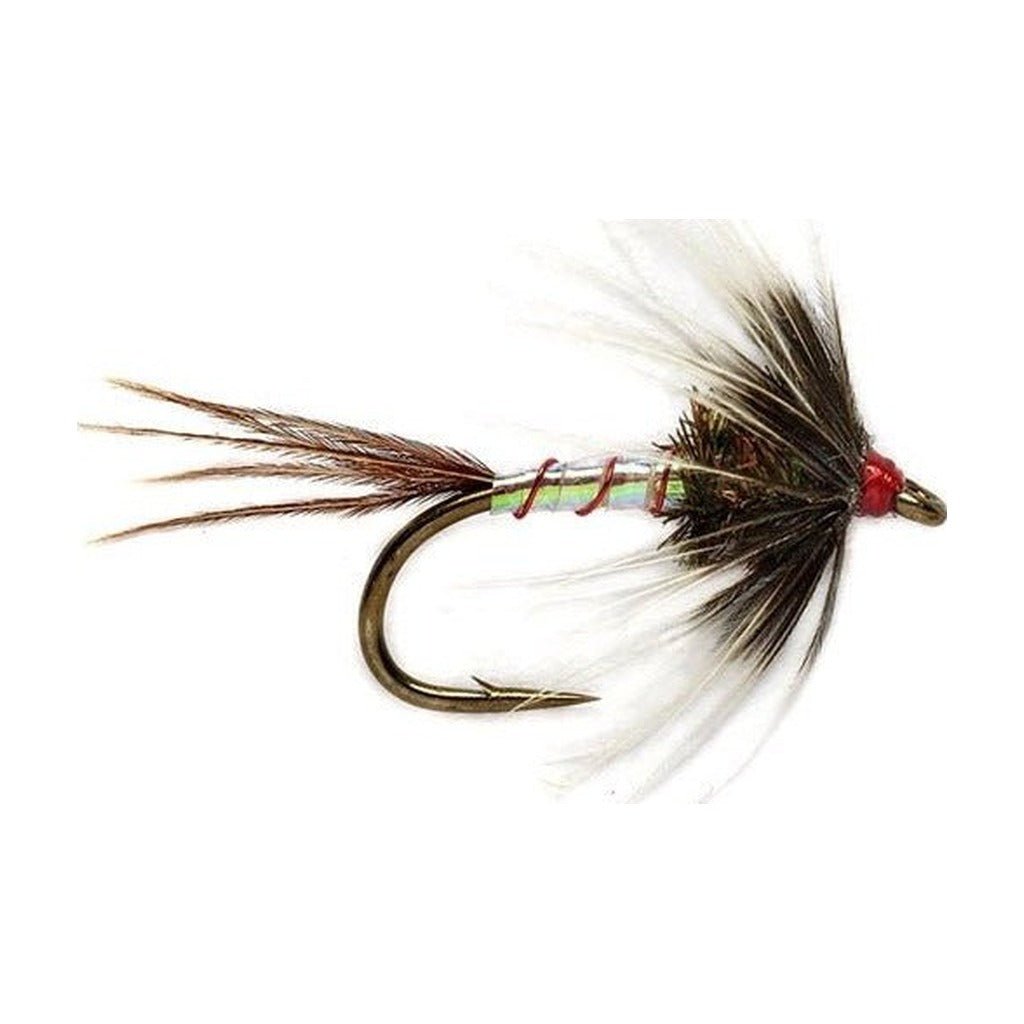 DW Catchall Spider - Flies - Fly Fish Food