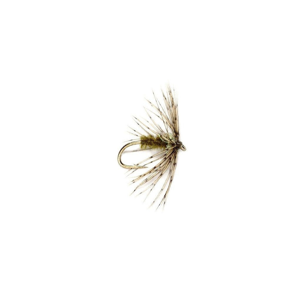 Sparkle Soft Hackle Light Olive - Flies - Fly Fish Food