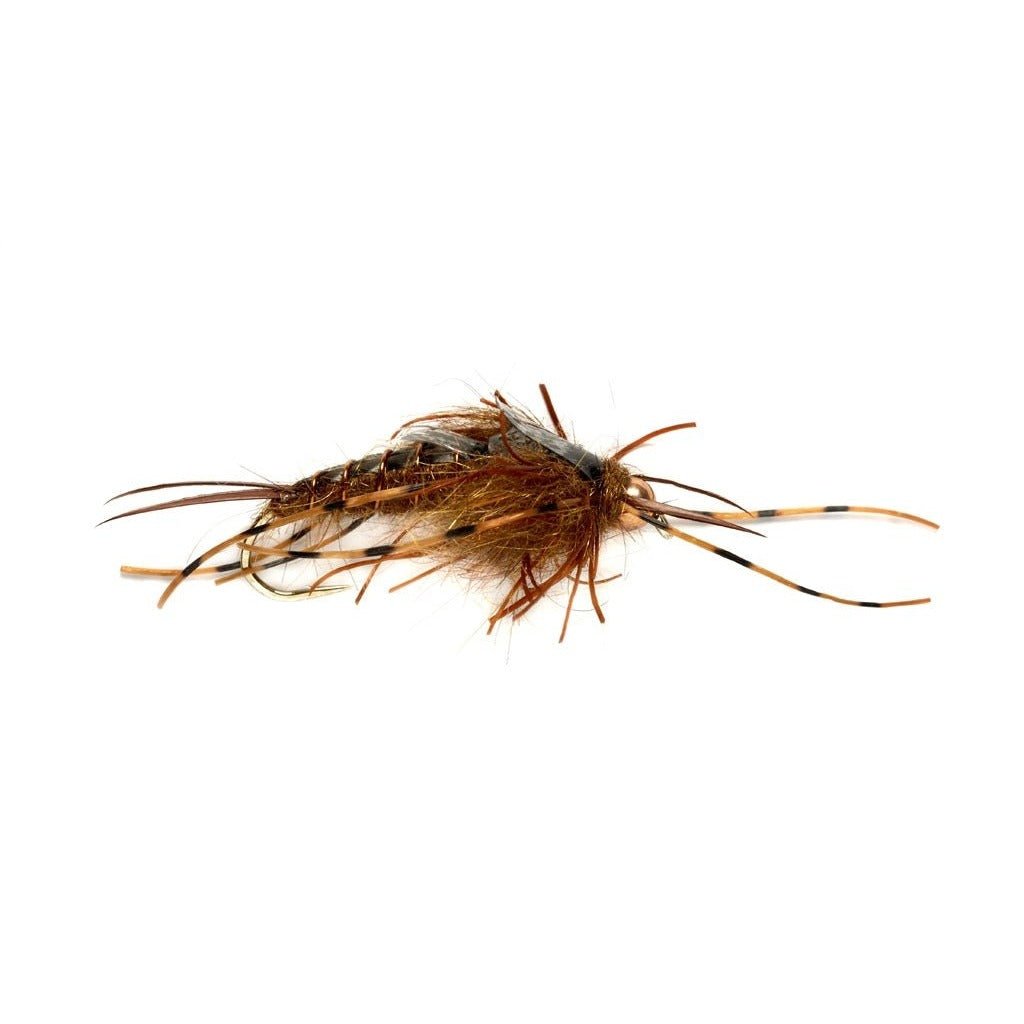 Tungsten Nemec Stone Nymph Brown - Flies - Fly Fish Food