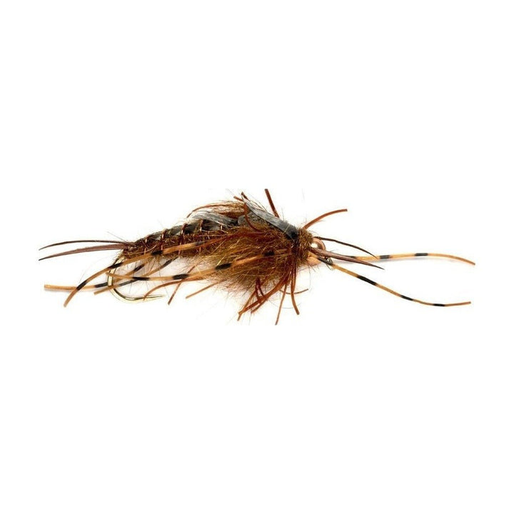 Tungsten Nemec Stone Nymph Brown - Flies - Fly Fish Food
