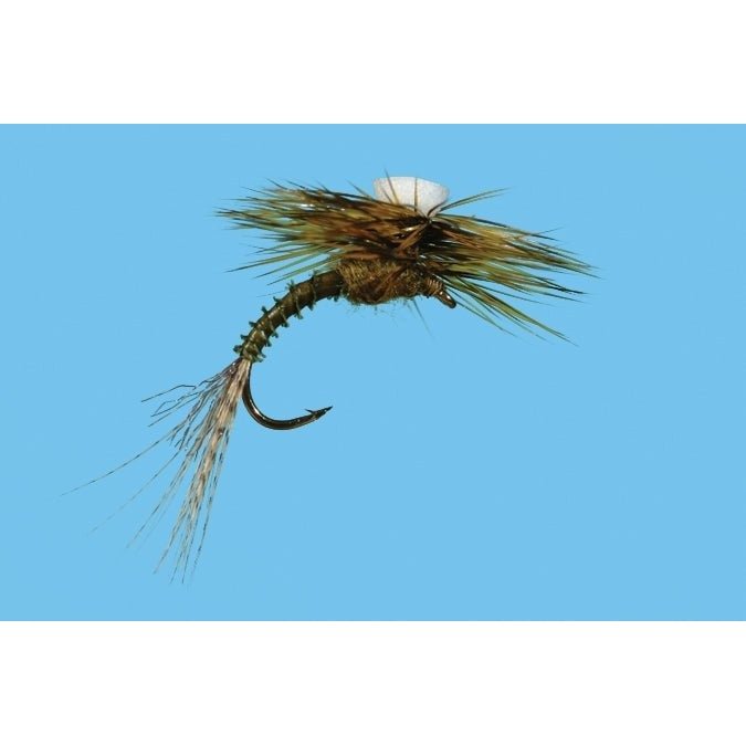 Brook's Sprout - Flavilinea - Flies - Fly Fish Food