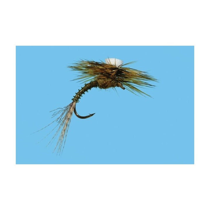 Brook's Sprout - Flavilinea - Flies - Fly Fish Food