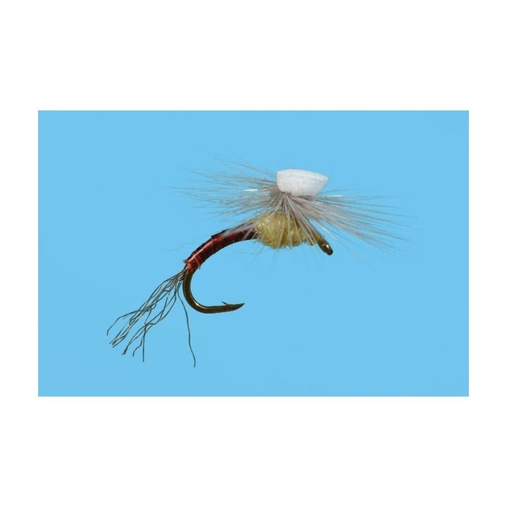 Brook's Sprout - PMD - Flies - Fly Fish Food