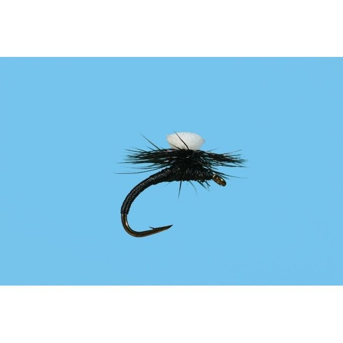 Brook's Sprout Midge