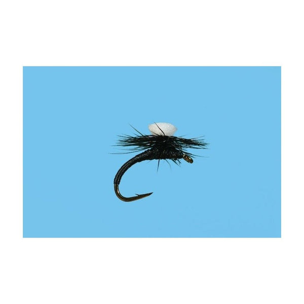 Brook's Sprout Midge