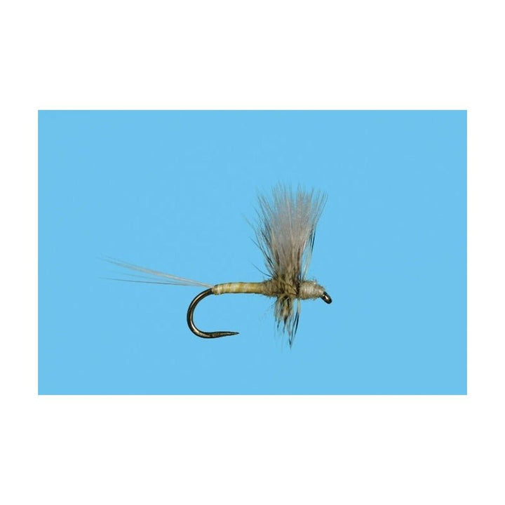 Harrop's CDC Thorax - PMD - Flies - Fly Fish Food