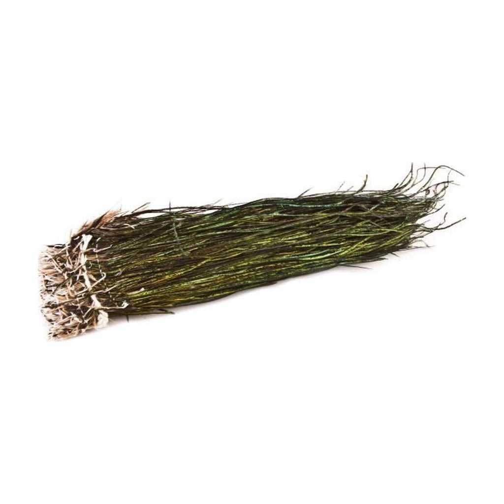 Strung Peacock Herl - Feathers & Marabou - Fly Fish Food