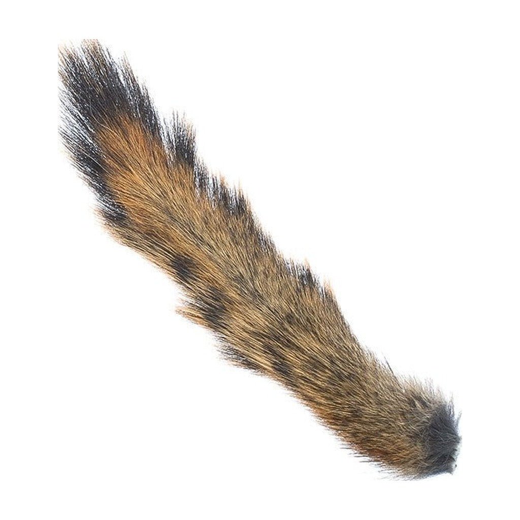 Squirrel Tail - Hair & Fur - Fly Fish Food