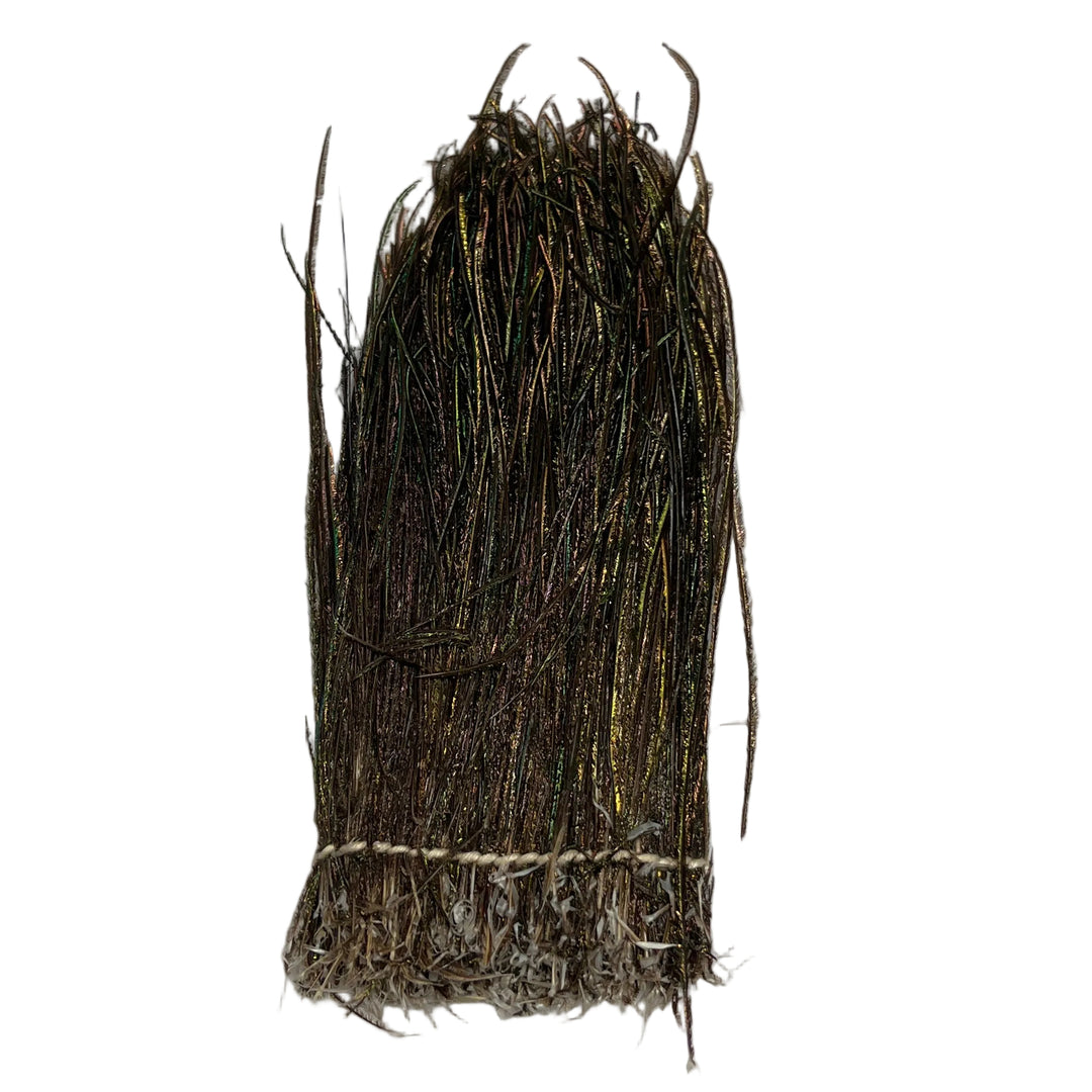 Strung Peacock Herl - 5-7"
