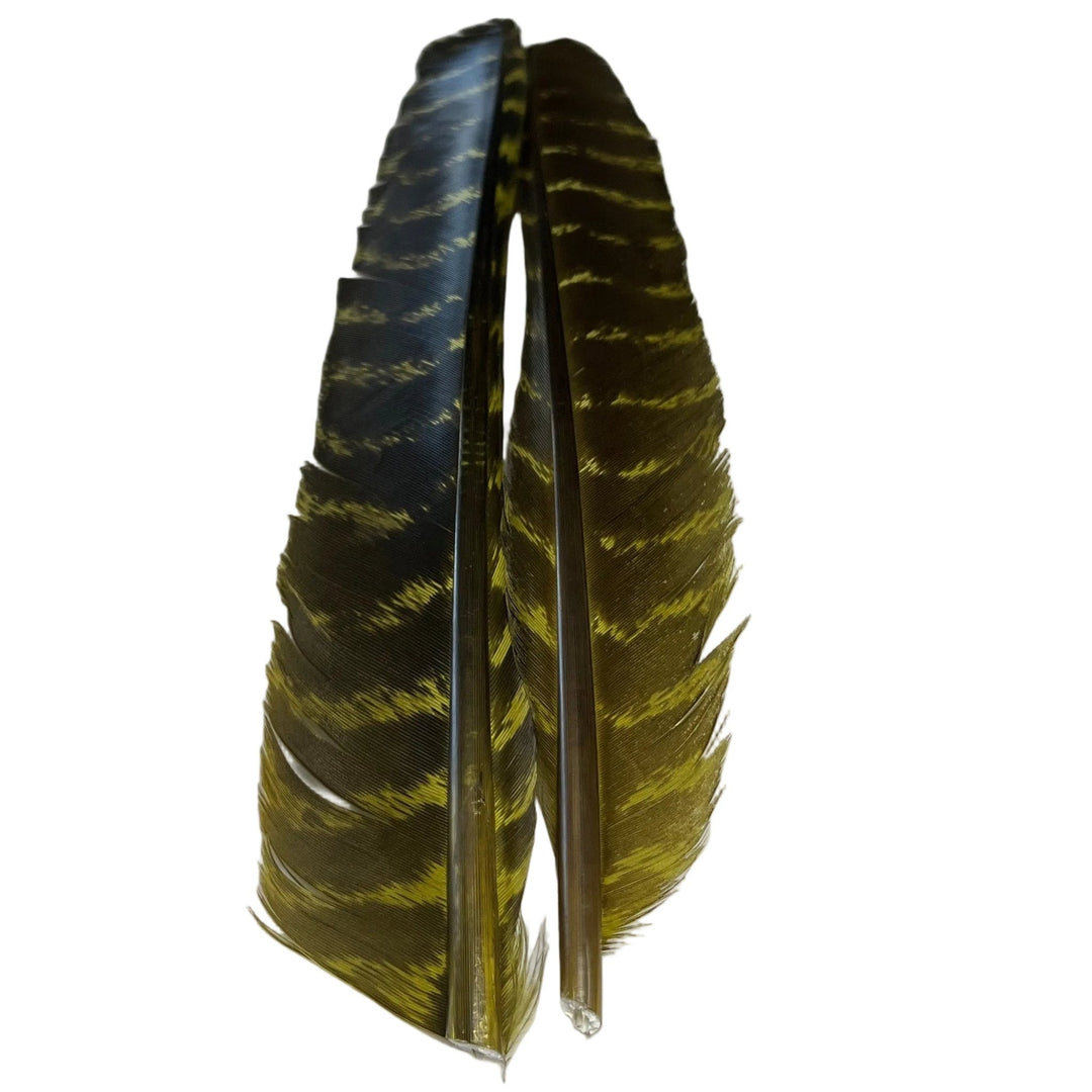 Barred Turkey Biot Quill Pair - Feathers & Marabou - Fly Fish Food