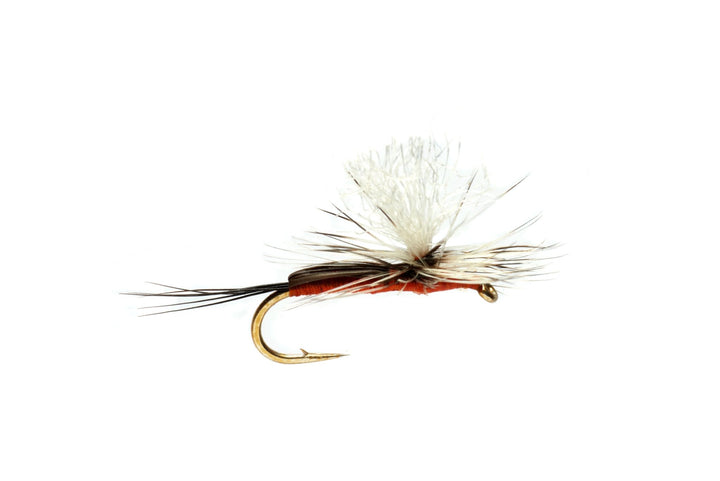 Burkus' South Fork Para Humpy - Orange - Flies - Fly Fish Food