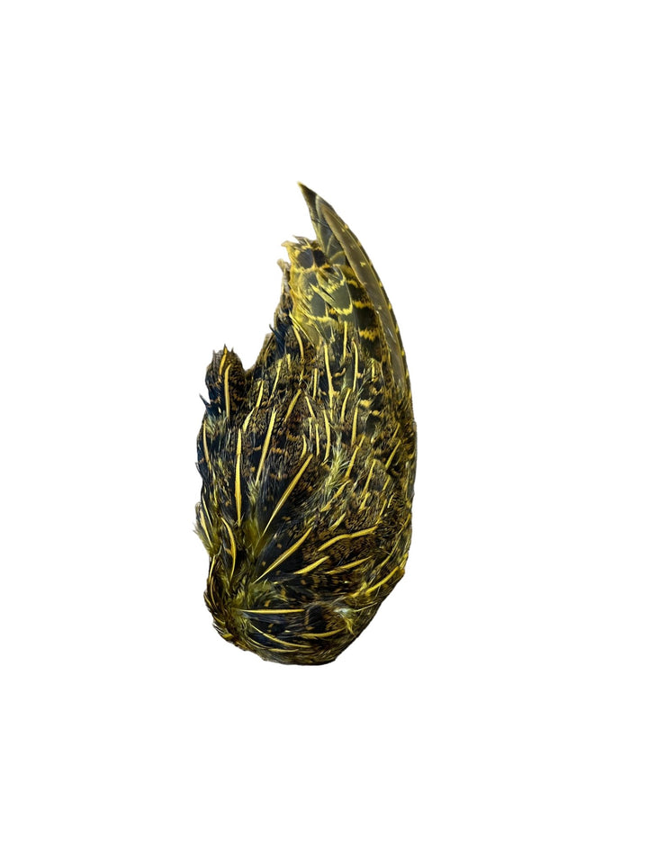 Partridge Wings Dyed - Feathers & Marabou - Fly Fish Food