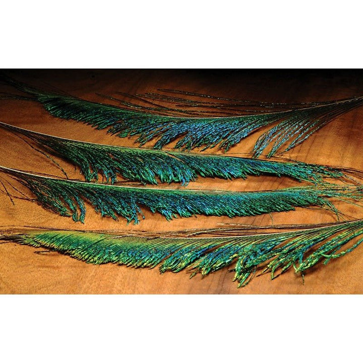 Hareline Peacock Swords - Feathers & Marabou - Fly Fish Food