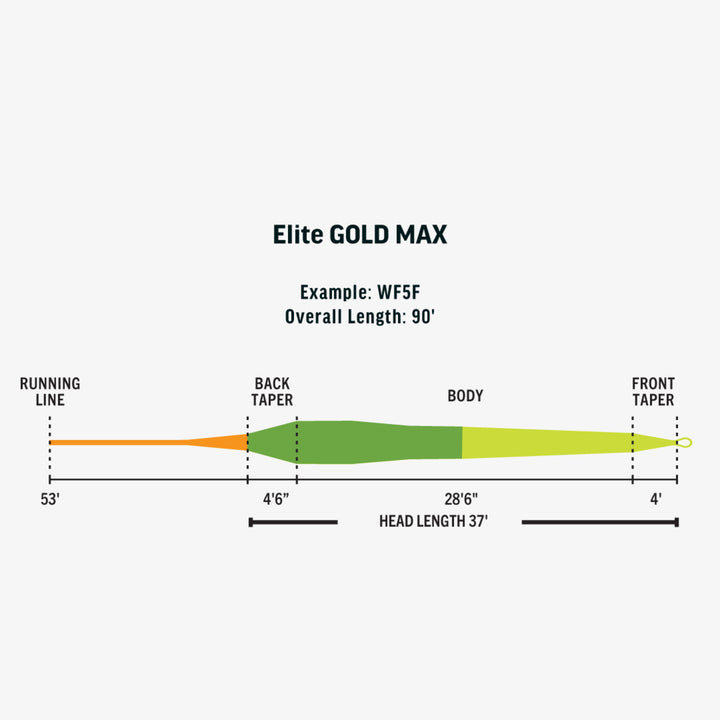 Rio Elite Gold Max -Mint/Green/Blaze Orange