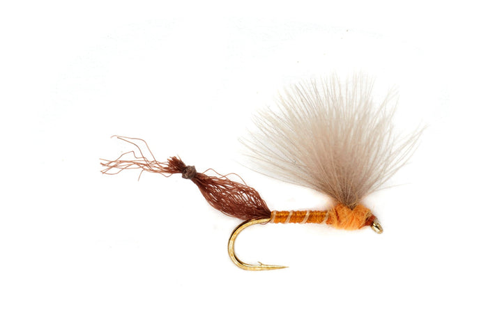 Burkus' Riffle Robber - Orange - Flies - Fly Fish Food