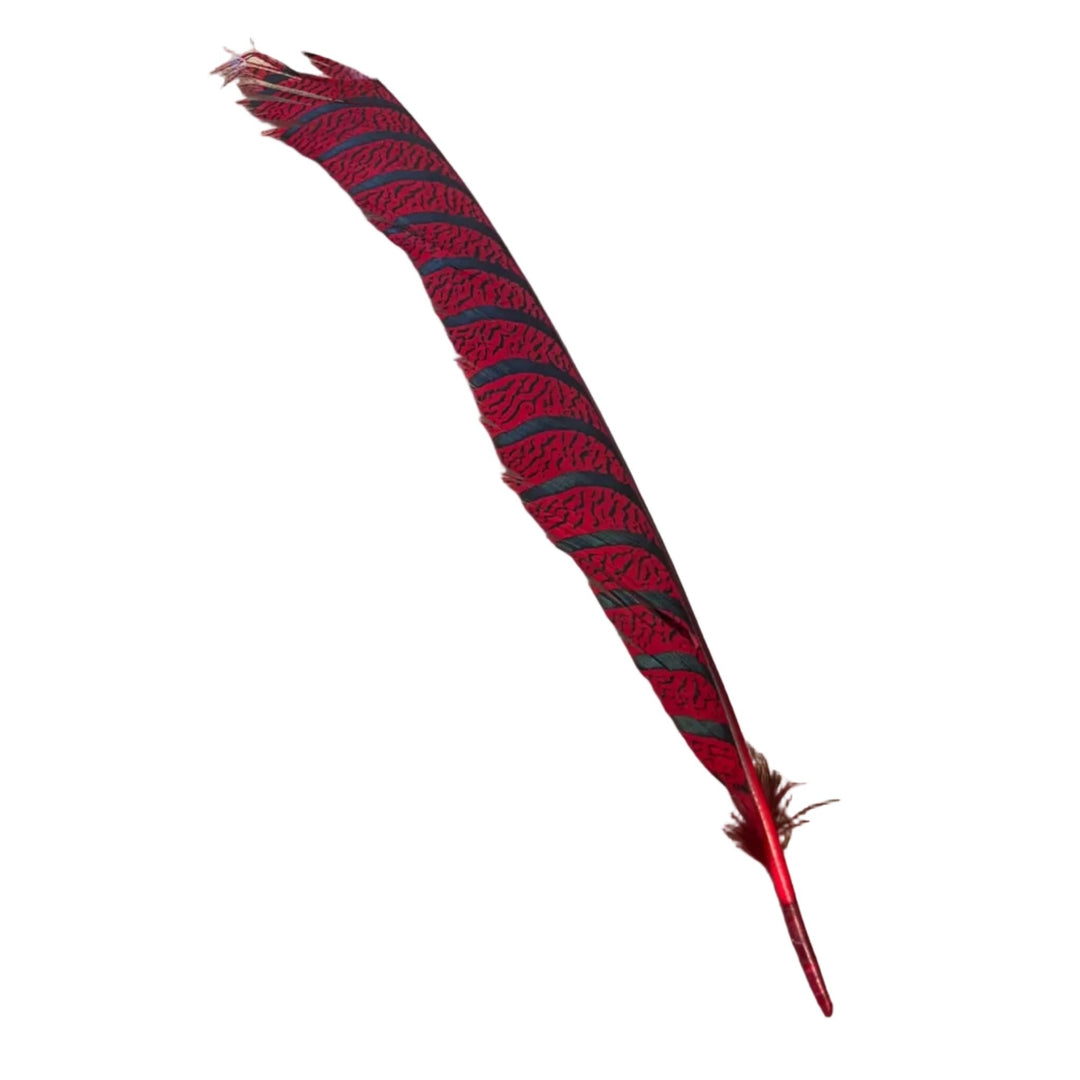 Lady Amherst Center Tail - Halfs - Feathers & Marabou - Fly Fish Food