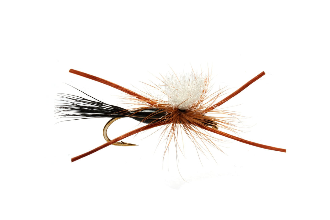 Burkus' Madison River Closer Black – Fly Fish Food