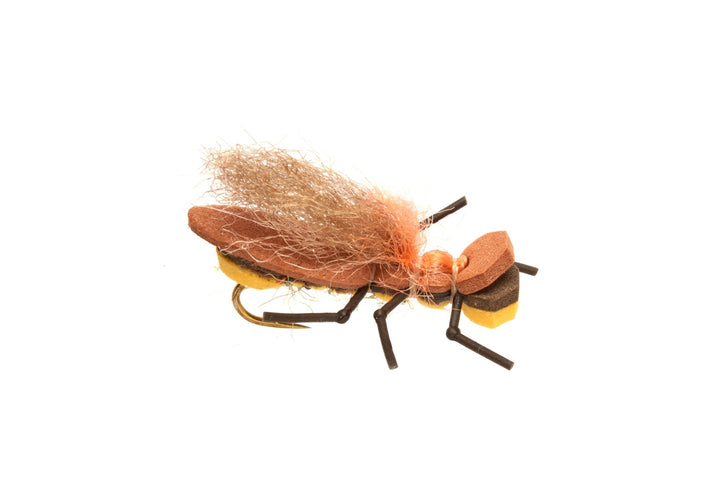 Burkus' Bearback Rider - Golden - Flies - Fly Fish Food