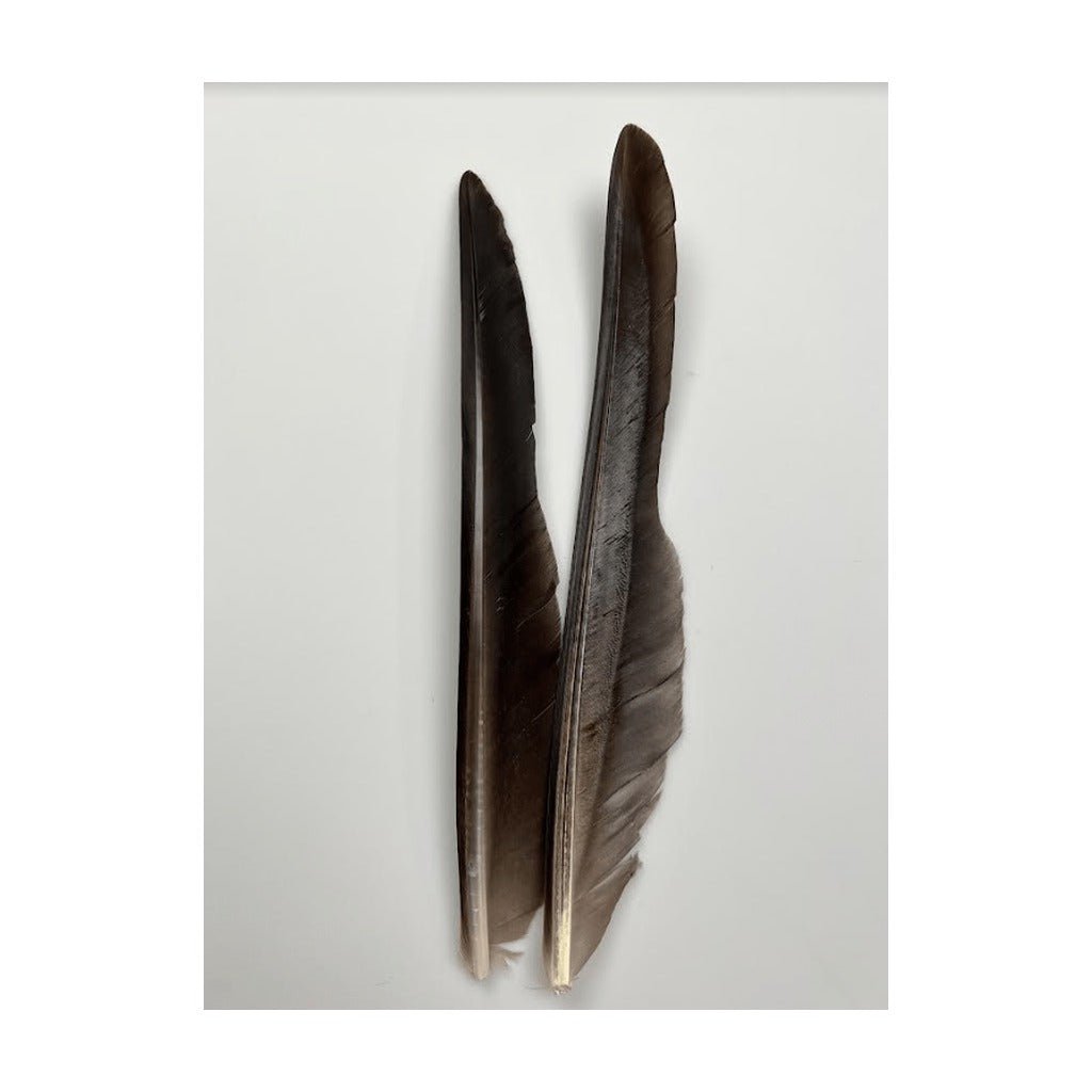 Canada Goose Biot Quills - Feathers & Marabou - Fly Fish Food