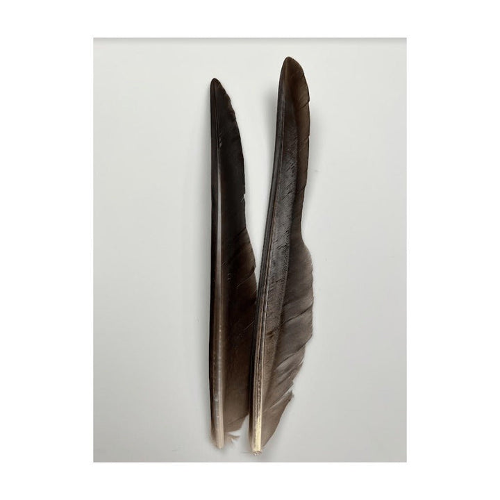 Canada Goose Biot Quills - Feathers & Marabou - Fly Fish Food