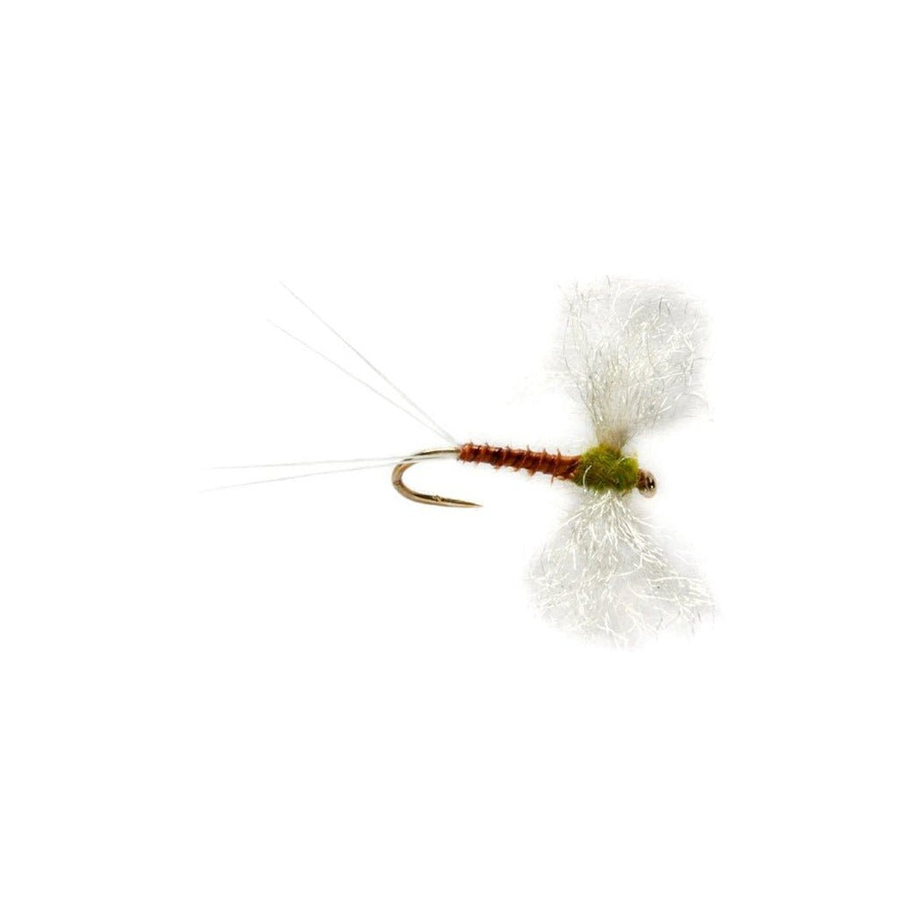 Elden's Flavilinea Spinner - Flies - Fly Fish Food