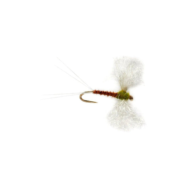 Elden's Flavilinea Spinner - Flies - Fly Fish Food