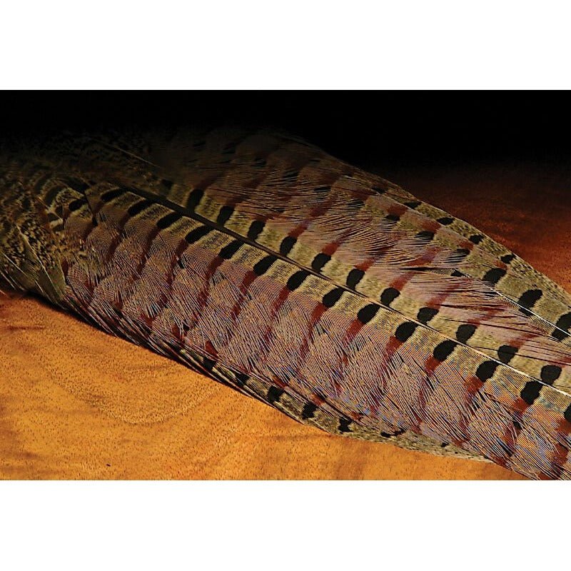 Ringneck Pheasant Complete Tail Clump - Feathers & Marabou - Fly Fish Food
