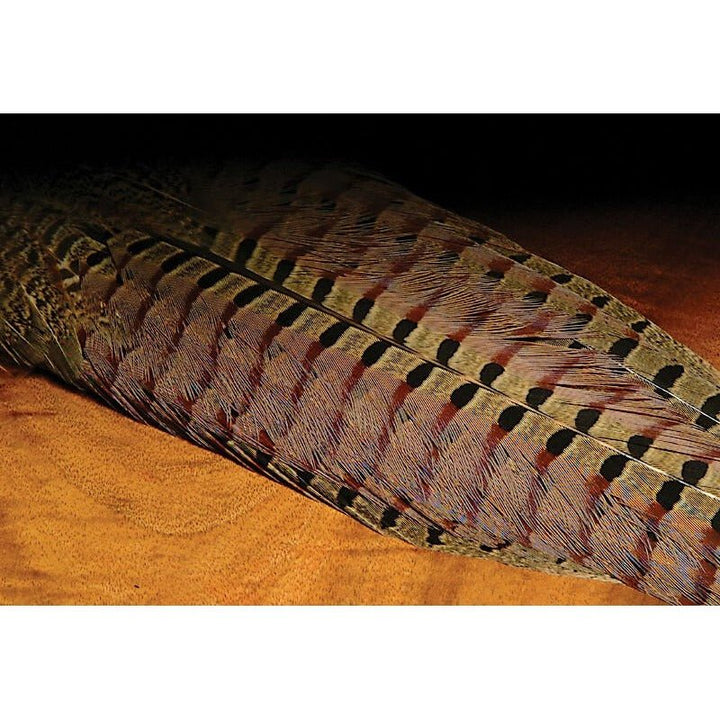 Ringneck Pheasant Complete Tail Clump - Feathers & Marabou - Fly Fish Food