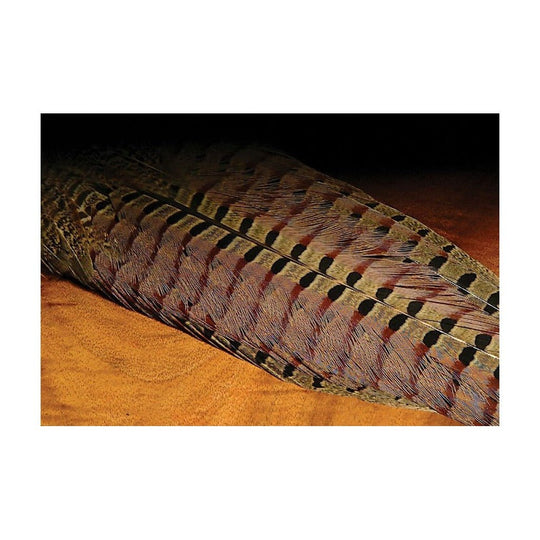 Ringneck Pheasant Complete Tail Clump - Feathers & Marabou - Fly Fish Food